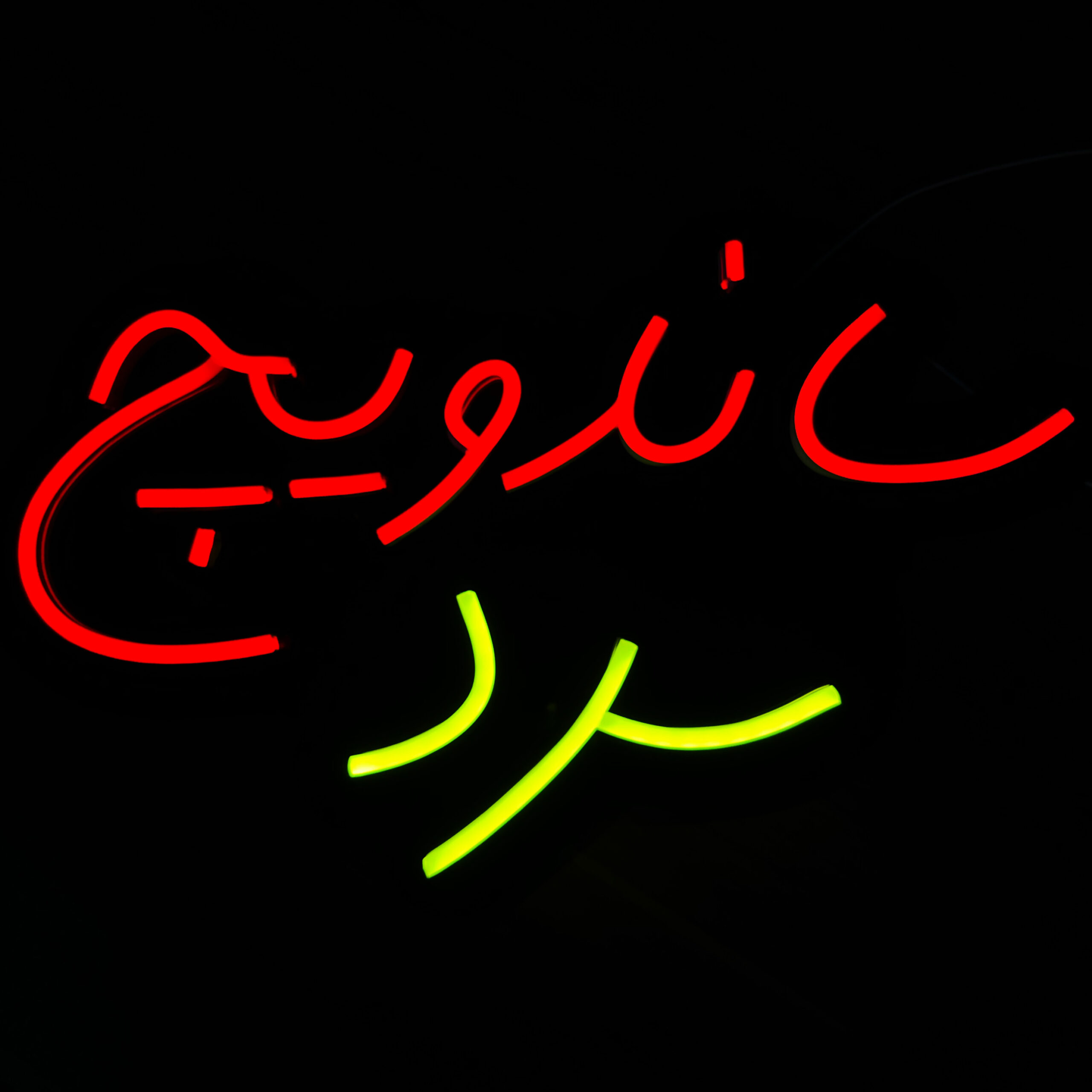 تابلو نئون ساندویچ سرد